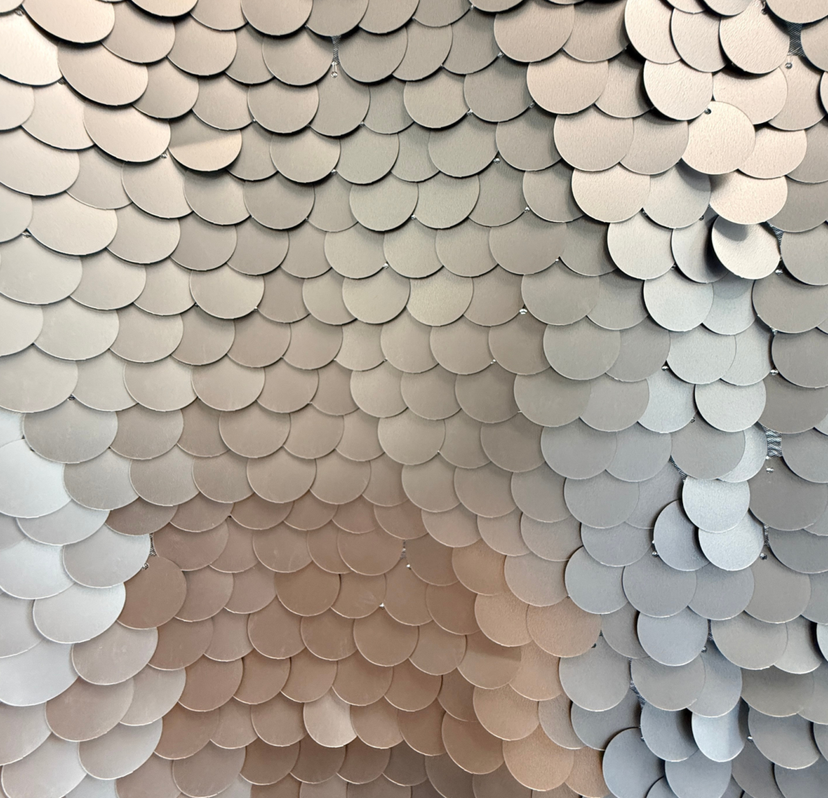 Matte Silver Sequins